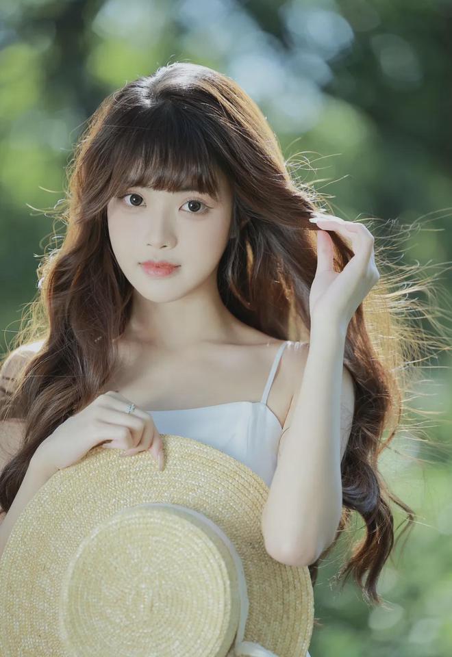 我的乌龟进人扇贝视频 MBA智库